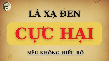 PHÁT HIỆN MỚI: LÁ XẠ ĐEN GÂY "CỰC NGUY HIỂM" NẾU DÙNG LÂU DÀI & SAI CÁCH