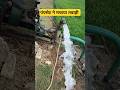 Field marshal diesel engine water pumpset #shorts #agriculture #farming