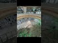 لبيك اللهم لبيك لبيك لا شريك لك لبيك التلبية مكة الحج 