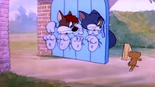 Tom and jerry in sufferin’ cat (1949, 1955) release titles opening
closing