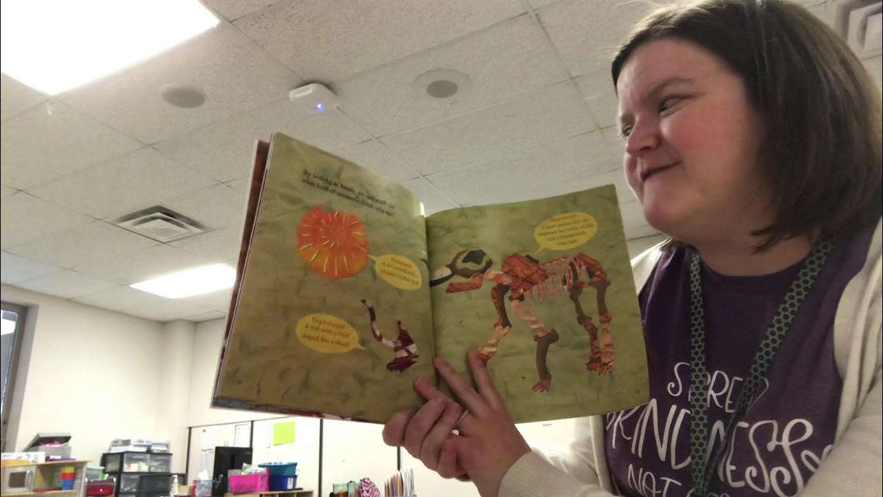 Fossils Tell Stories YouTube