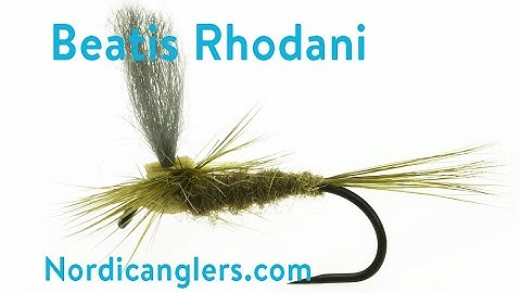 Dry fly fly tying lesson, Step by step: Parachute mayfly with a twist