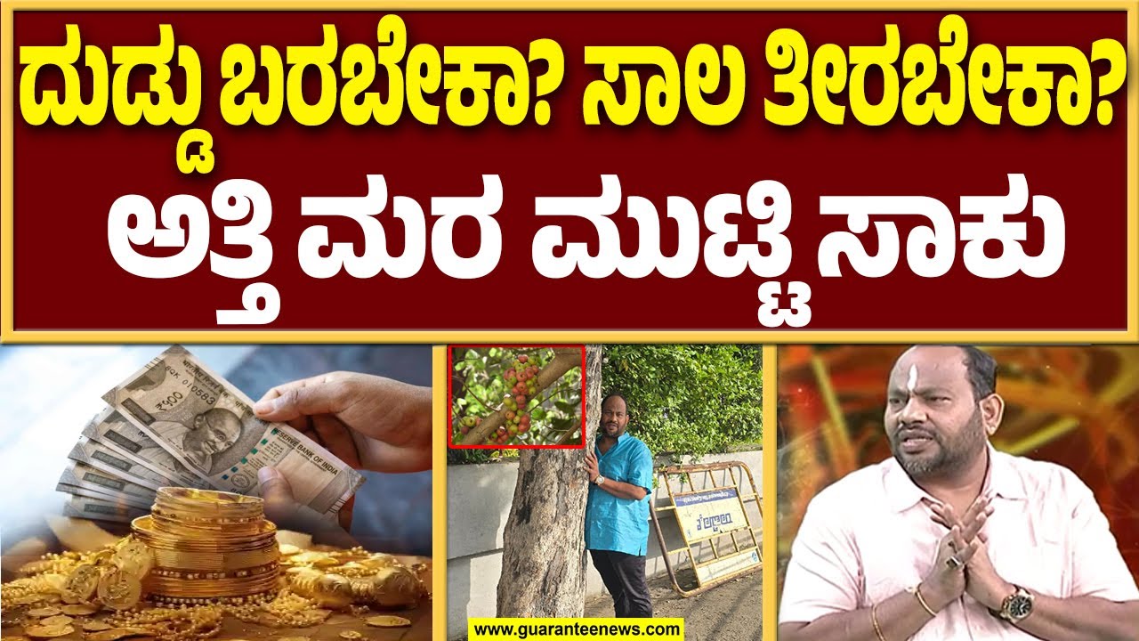 ಅತ್ತಿಮರ ದಿನ ಮುಟ್ಟಿದರೆ ಸಾಕು ನಿಮ್ಮ ಅದೃಷ್ಟ ಬದಲಾಗುತ್ತೆ..! Aryavardhan Guruji | Guarantee News