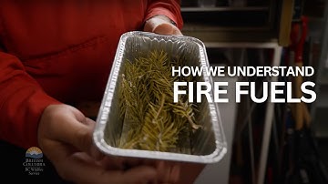 How we understand fire fuels