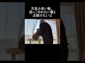 天気の良い朝。抱っこされたい猫と出掛けたい父【元野良猫ピースケ】 #shorts #初老夫婦とねこ #元野良猫 #ピースケ