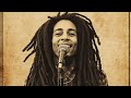71 conscious reggae Love in the Ghetto (Full Roots Reggae Album 1977) | Classic Reggae Vibes