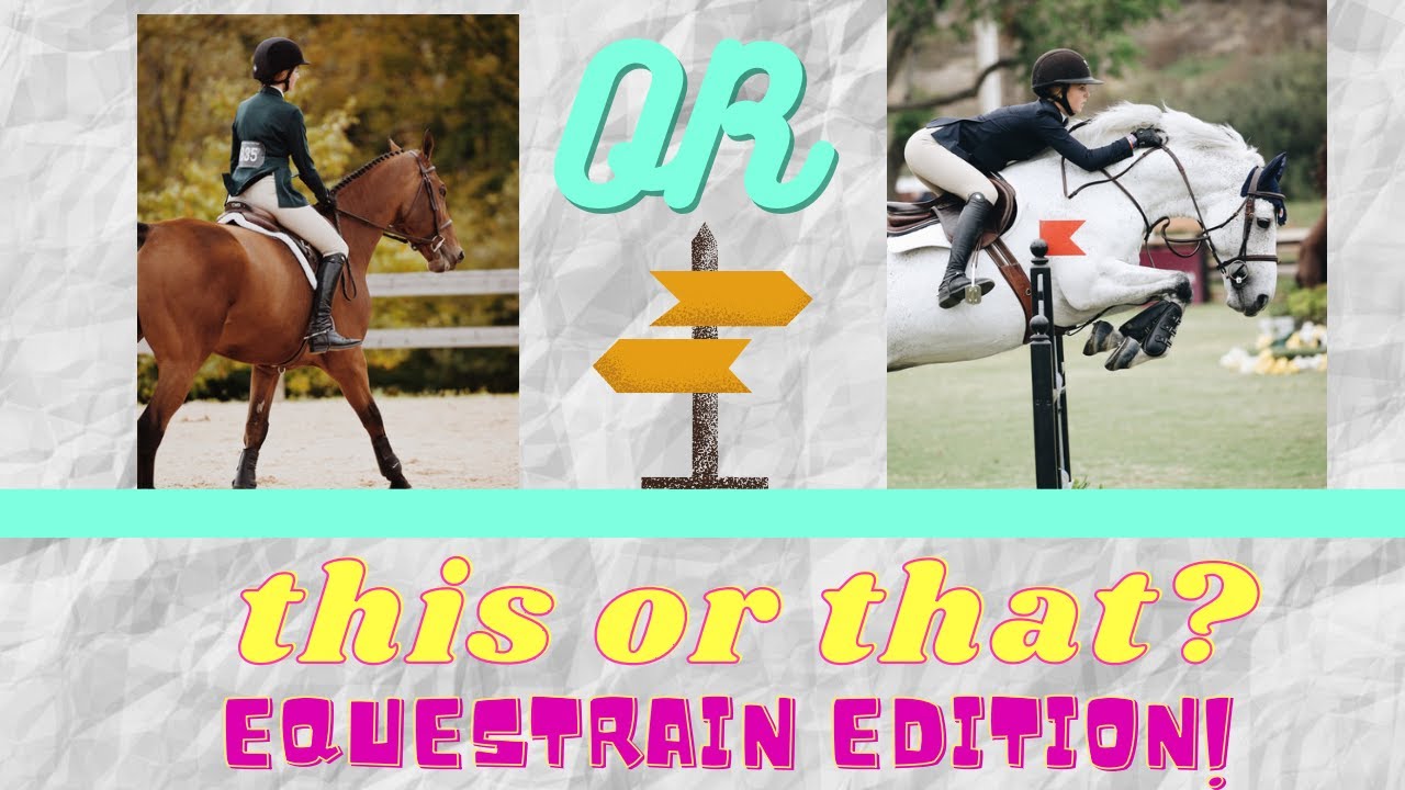 This Or That! {Equestrian Edition!!!}