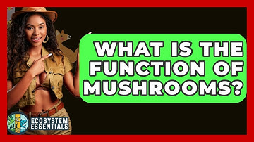 What Is The Function Of Mushrooms? - Ecosystem Essentials