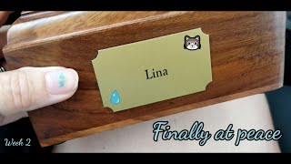 June Vlog | Week 2 | Lina's Home