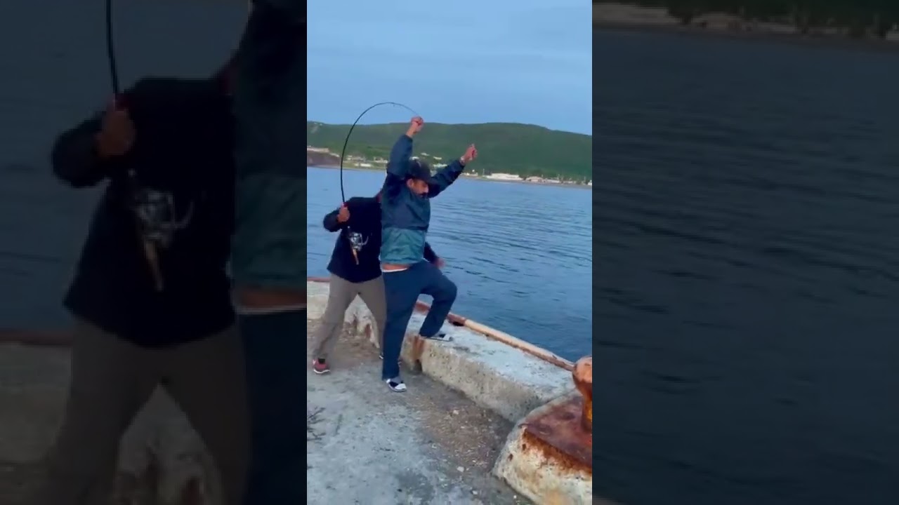 1,2,3,4,5,6…….sabiki fishing rig is magic