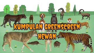 Kumpulan greenscreen hewan