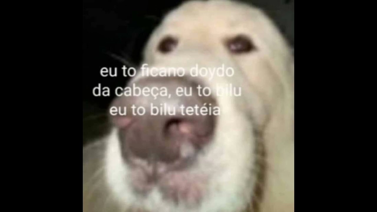 Will Wood and The Tapeworms The Song With Five Names (sped up