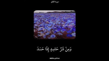 سورة الفلق 🎥:أرح قلبك ♥️