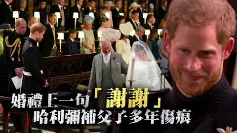 婚礼上一句“谢谢”　哈利弥补父子多年伤痕 | 台湾苹果日报 - 天天要闻