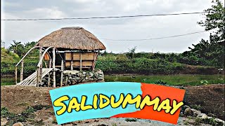 Video thumbnail of "Salidummay | Kalinga song | dong dong ay | Kalinga istaychi"