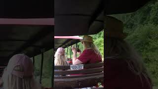 Pleasurewood Hills Train #train #trains #trainspotting #themepark