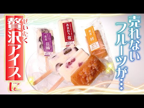 【シリーズＳＤＧｓ】　売れないフルーツでつくるスイーツ