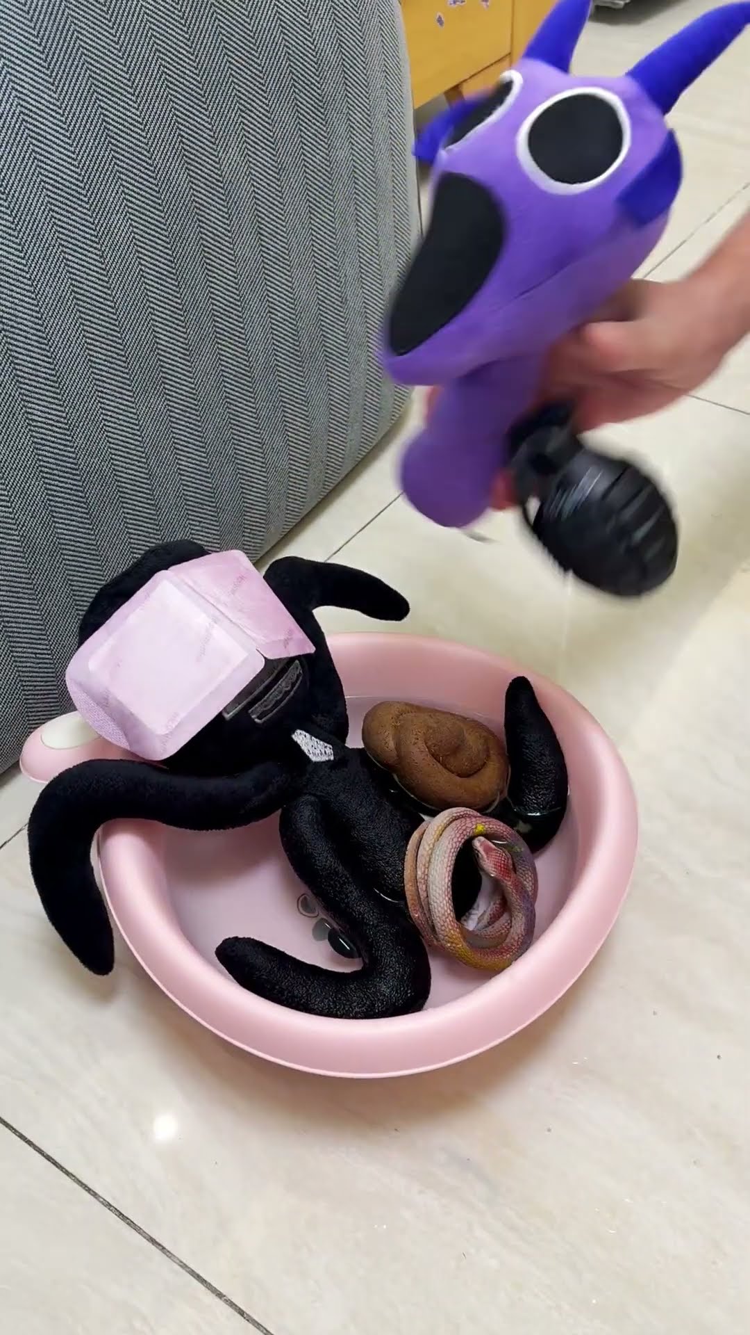 Durple prank gone wrong