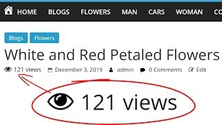 How To Add Visitor Counter in WordPress Website screenshot 1