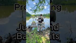 5 Top July Bass Baits for Pond Fishing #fishing #bassfishing #pondfishing #fishingtips