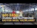 800 Başlı Izgaralı Besi İşletmesinde Rasyon Hazırlığı - Damdan Dama