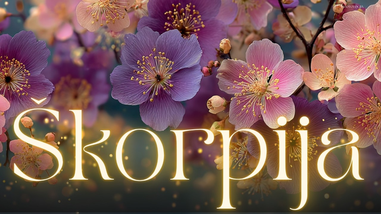 ŠKORPIJA Mili moji, spremite najskuplji šampanjac za ovo čudo! 9 pentakla donosi sve🥂🍾tarot citanje