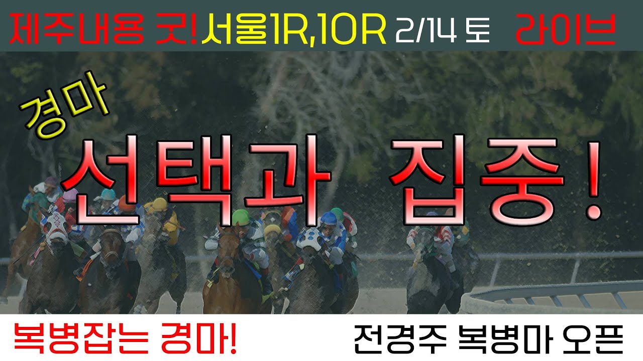 2/14(토) 경마 선택과 집중! 제주 내용굿! 서울 1R 화끈한 배당!