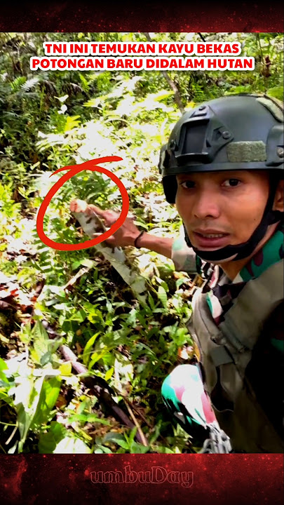 Prajurit TNI ini temukan adanya aktivitas didalam hutan papua #tni #bravo #opm