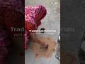 Materials of Mandana Floor Art! Mandana rangoli Design! Mandana Art Drawing! Rangoli Designs