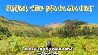 JALUR TERDEKAT MENUJU PUNCAK TERTINGGI GUNUNG SUMBING