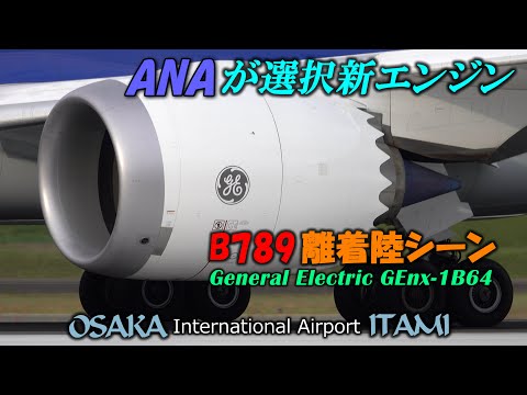 厦門航空 B737 MAX エンジン タグ ディスプレイ 白 六角形 B787-9 新エンジン GEnx-1B64 搭載で帰って来た 離着陸 動作部位