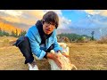 Mera Friend Mil Gaya Himalaya Pe// Sourav Joshi Vlogs//Sourav Joshi Vlog Video// New Vlog Video//