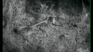 Refleks Hayat Kurtarır