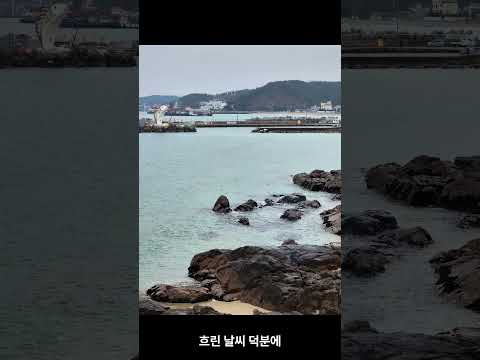 부산 기장 이런 곳 있었어..? 바다 위 카페에서 낚시까지 되는 힐링 장소🌊