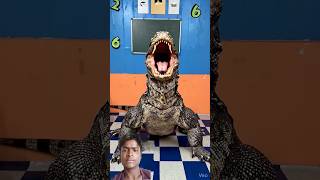 स्कूल के अंदर आई मोंस्टर छिपकली😨😱Il #shortsfeed #school #vikassir #short #chipkali #monster