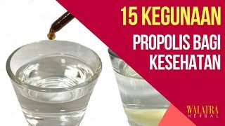 Inilah 15 Khasiat & Kegunaan Obat Propolis Bagi Kesehatan - Mengobati Berbagai Jenis Penyakit