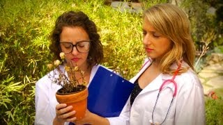How to Tell if a Plant is Dead and Regenerate a Sick Plant!