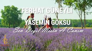 Ferhat Güneyli feat. Yasemin Goksu - Sen Değil misin A Canım