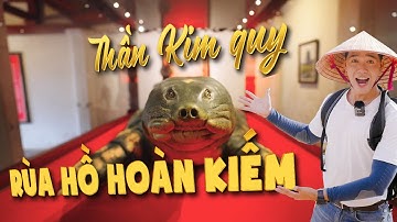 Reivew cụ rùa tại Hồ Hoàn Kiếm, Cụ rùa tại đền Ngọc Sơn Hà Nội