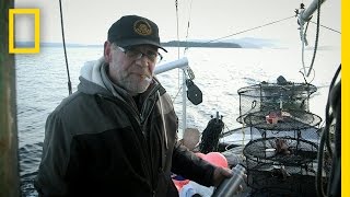 Packing the Shrimp Pots | Port Protection