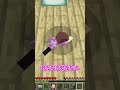 家にゴキブリおかんが現れた マイクラ マインクラフト Shorts