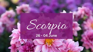 Scorpio❤This obsession is unhealthy!Unable to deal with u ignoring they r planning..