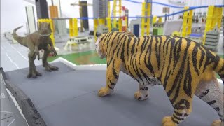 호랑이 vs 공룡 Tiger vs Dinosaur