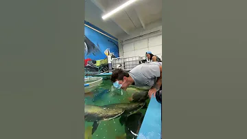 I Got KNOCKED OUT By A FISH 