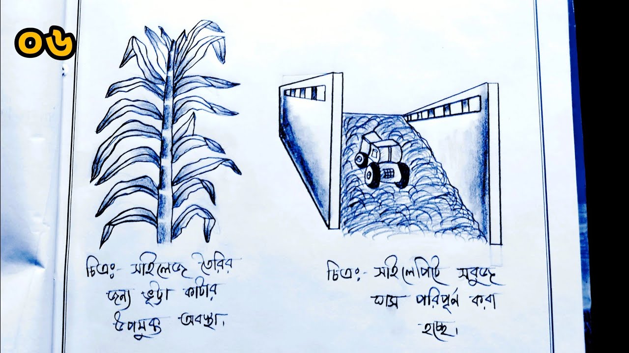 Sokinish bilan porno videolar