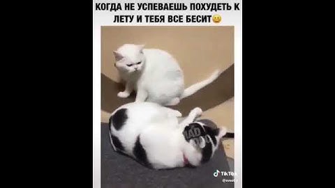 Когда не успел похудеть