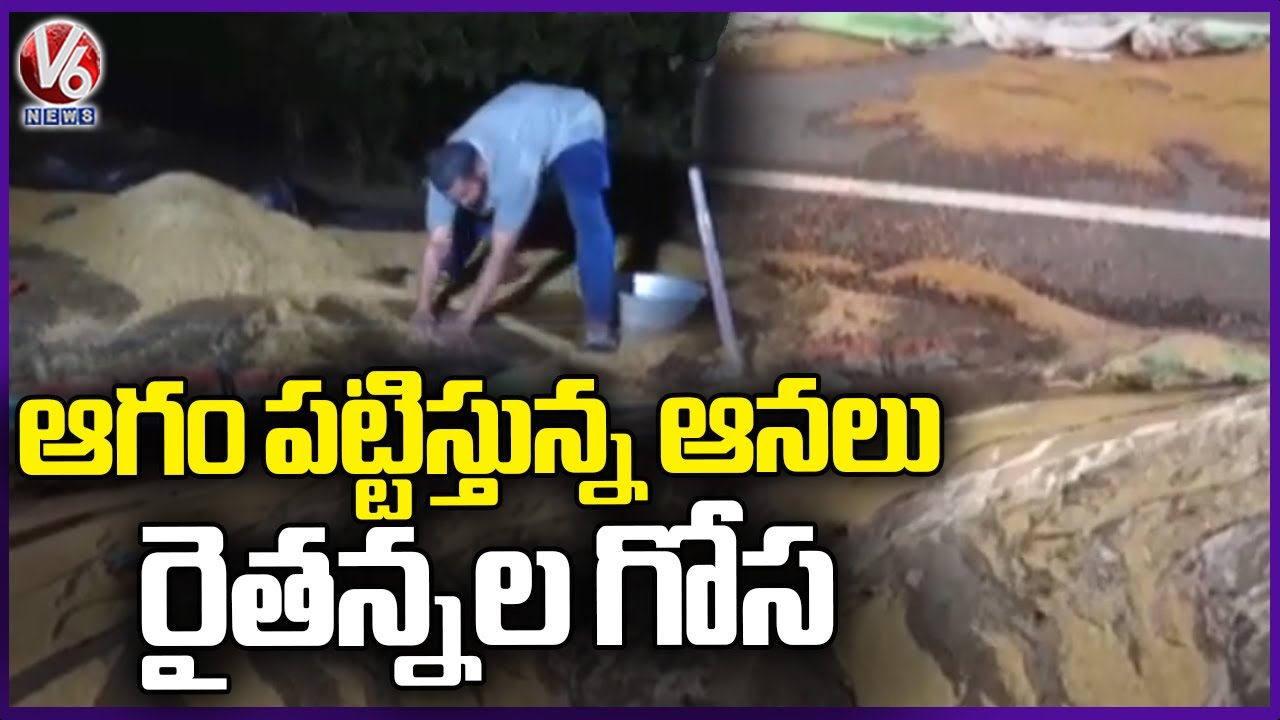 Heavy Rains Hits In Hyderabad, High Crop Loss Telangana Rains | V6 News ...