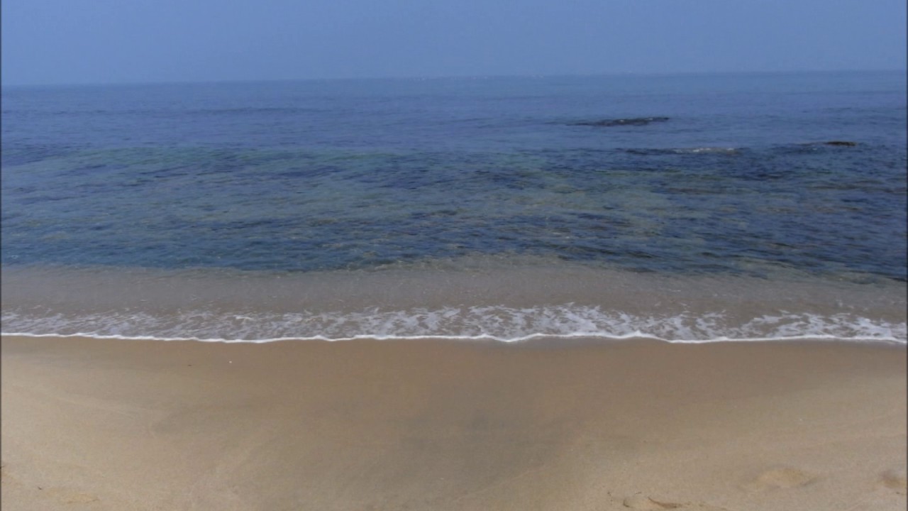 No Hay Problema = Pink Martini YouTube