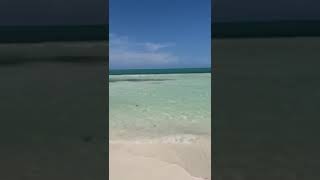 Cayo Coco