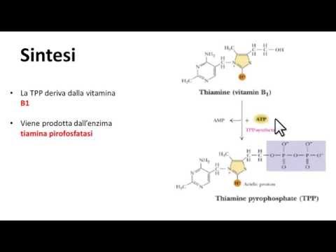 Video: La tiamina è organica o inorganica?